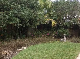 Top-rated landscape design in Wesley Chapel, FL - City Living Landscaping