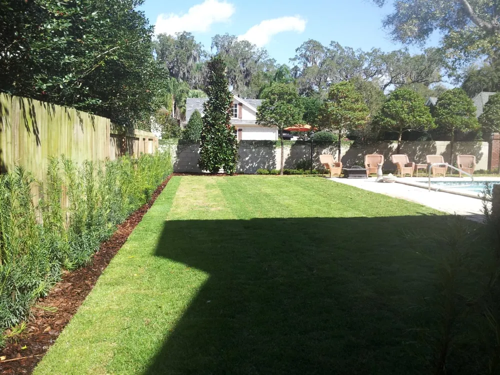 Professional yard maintenance in Wesley Chapel, FL - City Living Landscaping