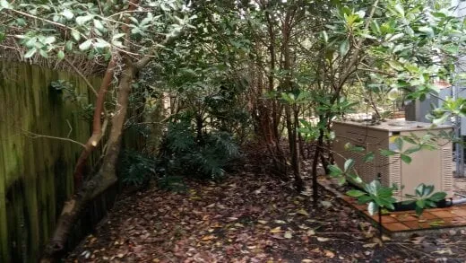 Expert landscaping services in Wesley Chapel, FL - City Living Landscaping