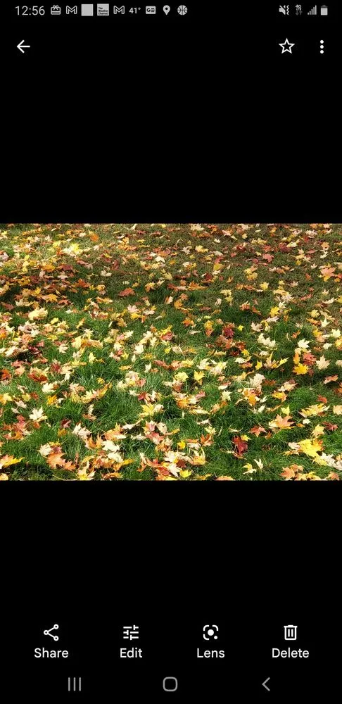 Trusted outdoor landscaping in Worcester, MA - City Mowing and Mulch