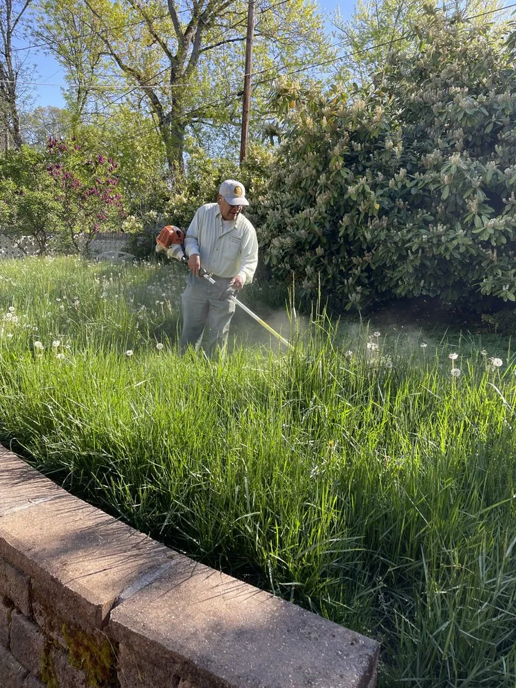 Professional landscaping services in Beaverton, OR - City Of Roses