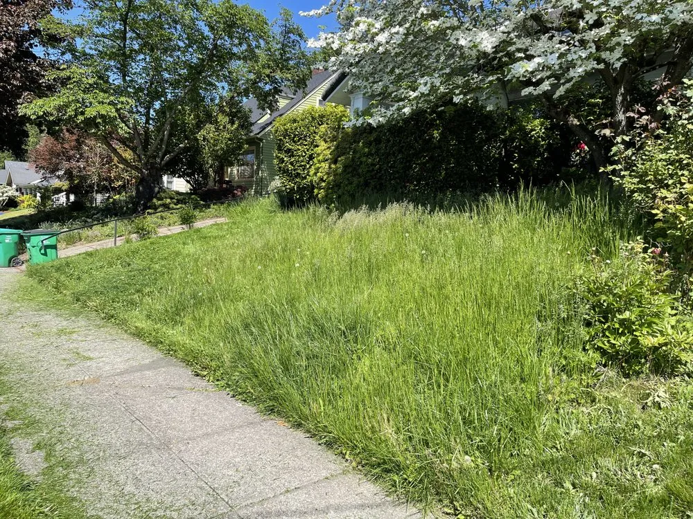 Top-rated lawn mowing service in Beaverton, OR by City Of Roses