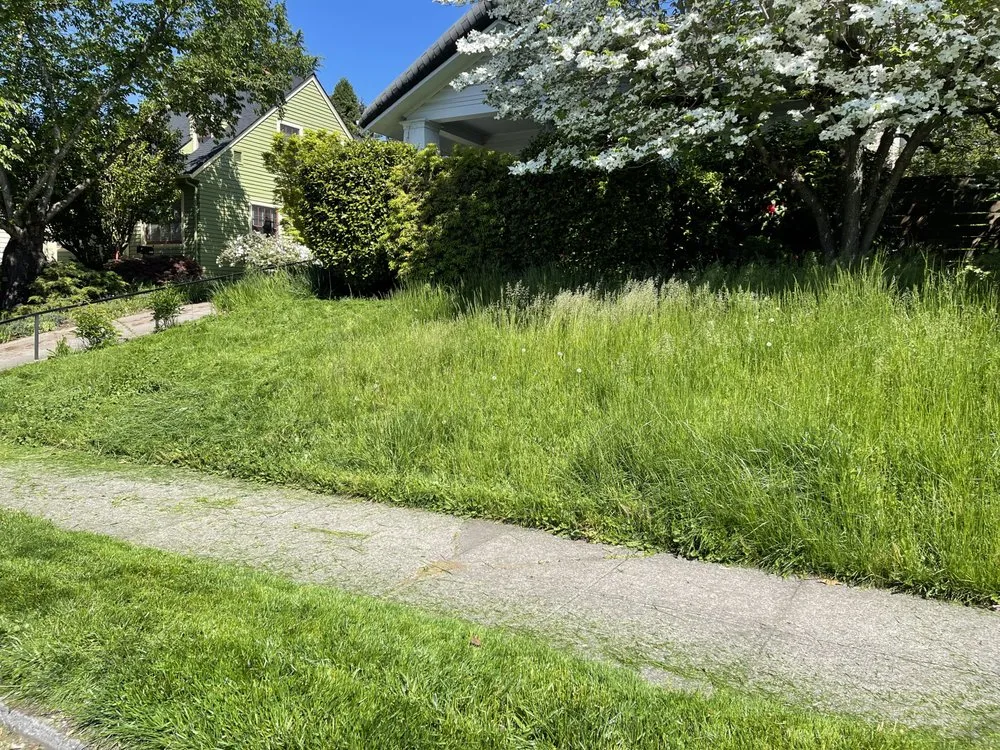 Expert landscaping services for outdoor upgrades in Beaverton, OR by City Of Roses