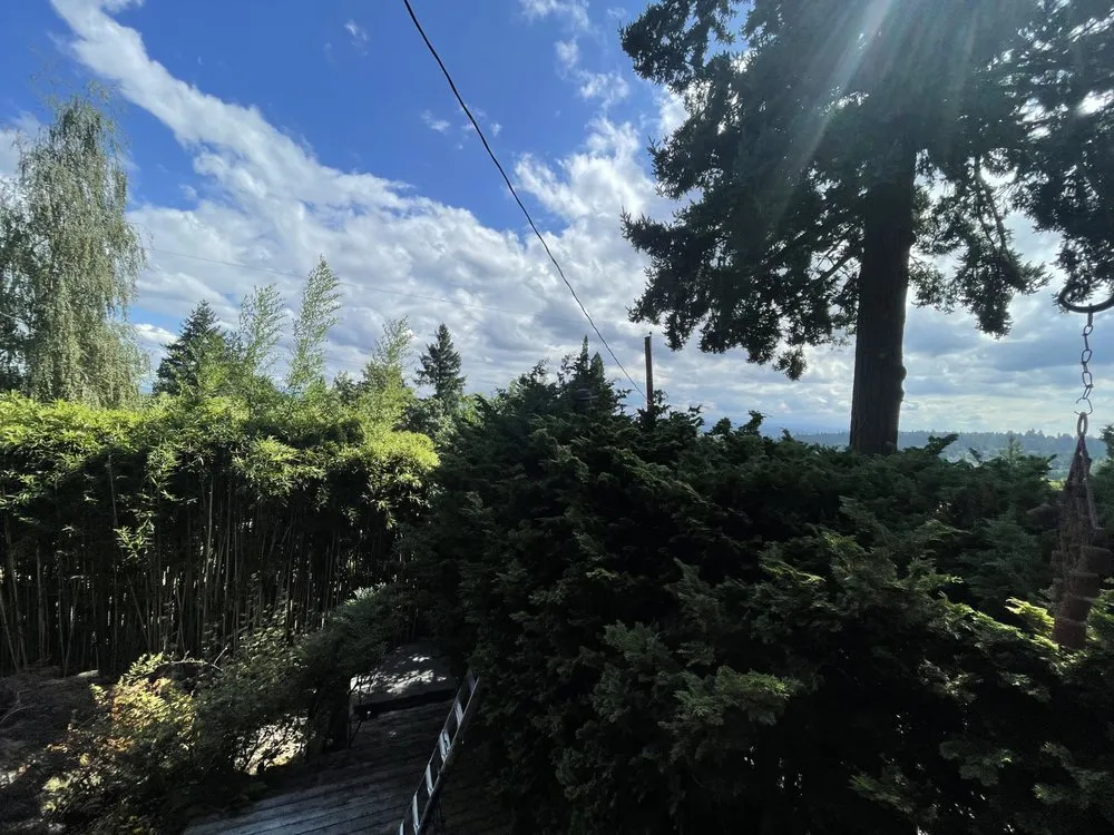 Reliable yard cleanup service in Beaverton, OR by City Of Roses