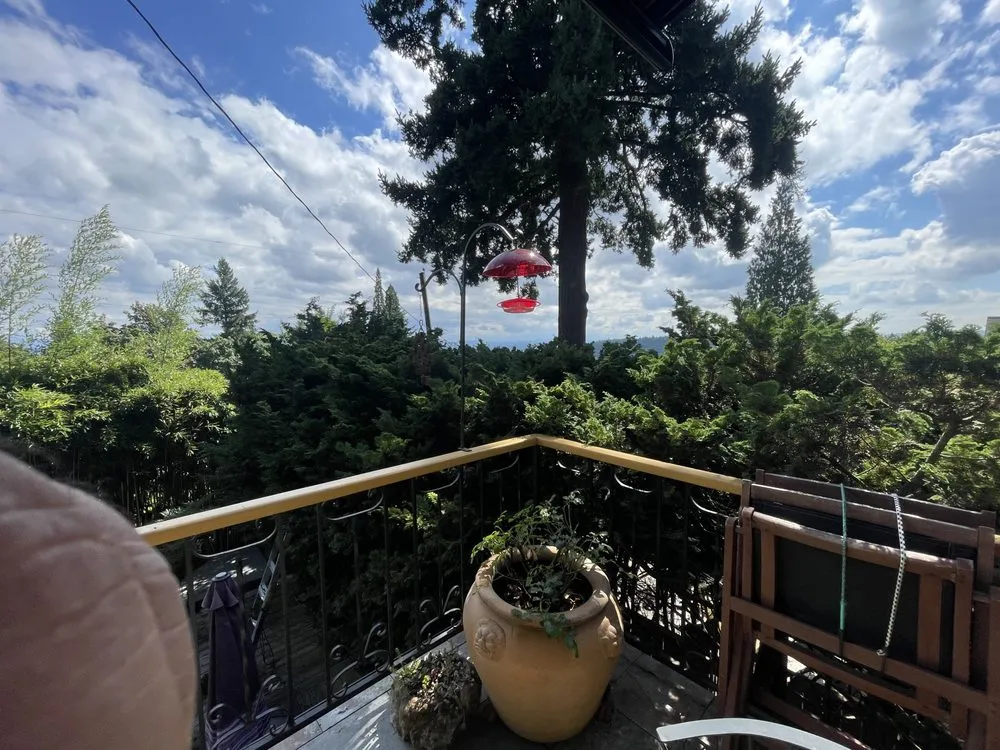 Professional garden landscaping in Beaverton, OR - City Of Roses