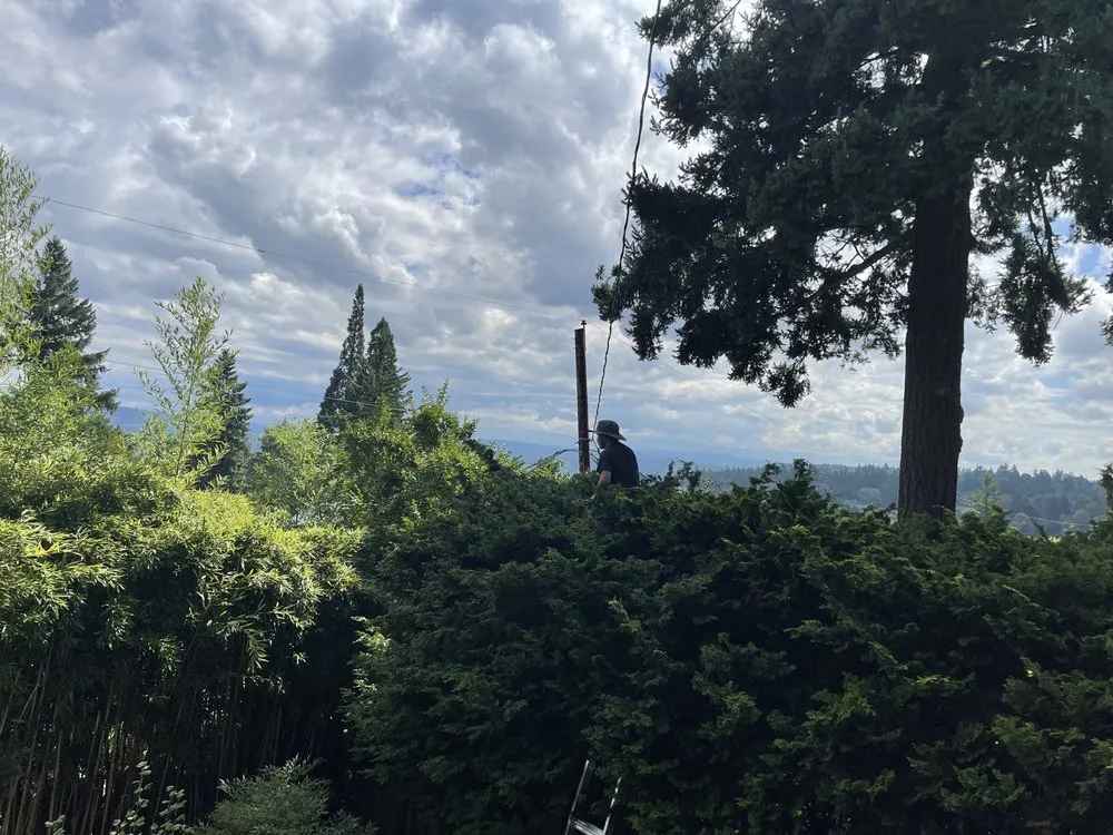 Local garden landscaping experts serving Beaverton, OR - City Of Roses