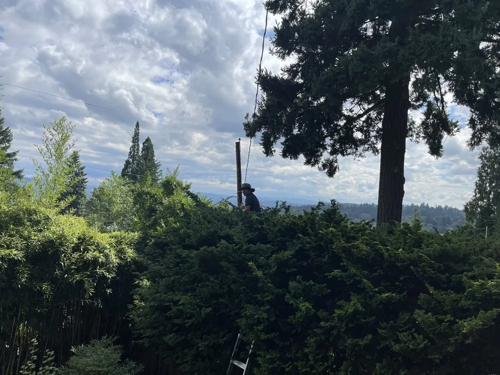 Local residential landscaping for year-round maintenance in Beaverton, OR by City Of Roses