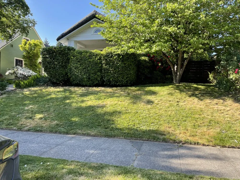 Custom outdoor landscaping for residential properties in Beaverton, OR by City Of Roses