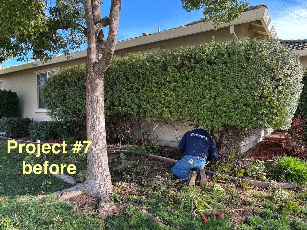 Custom garden landscaping experts serving Sacramento, CA - City of Trees Landscape & Design