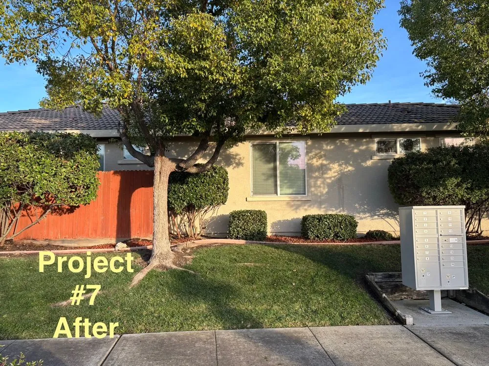 Trusted landscaping services near you in Sacramento, CA by City of Trees Landscape & Design