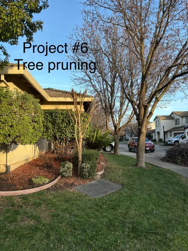 Affordable outdoor landscaping for outdoor upgrades across Sacramento, CA - City of Trees Landscape & Design