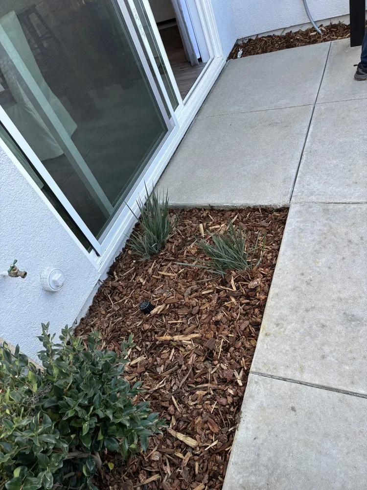 Local lawn mowing service in Sacramento, CA by City of Trees Landscape & Design