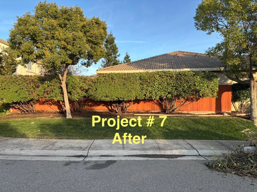 Professional residential landscaping near you in Sacramento, CA by City of Trees Landscape & Design