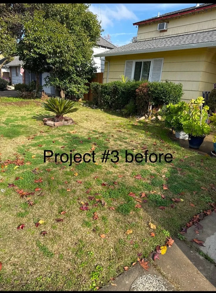 Professional outdoor landscaping experts serving Sacramento, CA - City of Trees Landscape & Design