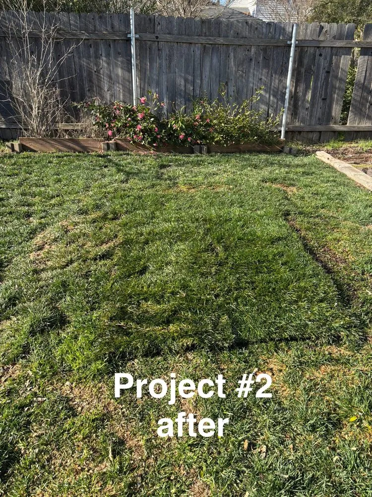 Expert yard cleanup service in Sacramento, CA - City of Trees Landscape & Design