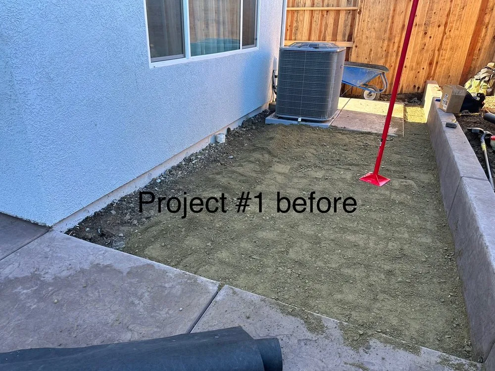 Affordable yard cleanup service in Sacramento, CA - City of Trees Landscape & Design