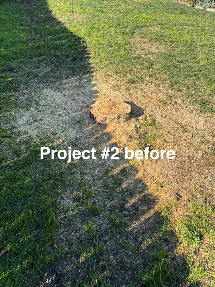 Trusted landscape installation for residential properties across Sacramento, CA - City of Trees Landscape & Design