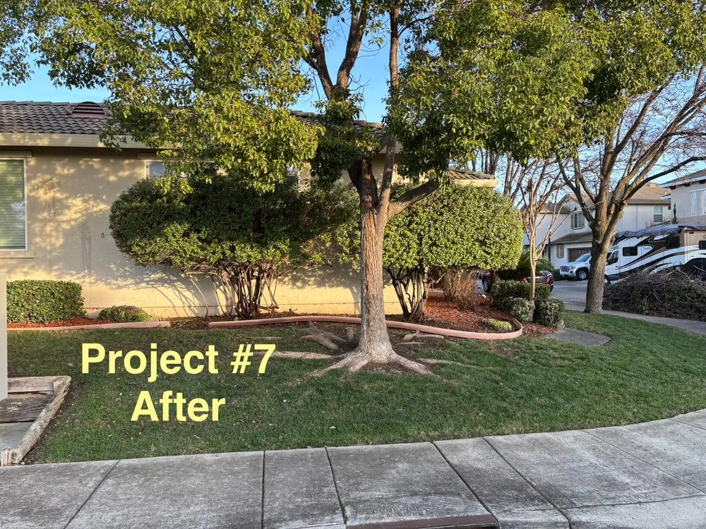 Reliable outdoor landscaping in Sacramento, CA - City of Trees Landscape & Design