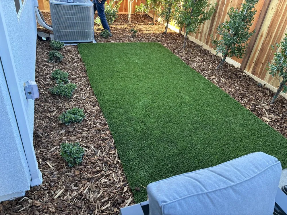 Custom lawn care service in Sacramento, CA by City of Trees Landscape & Design