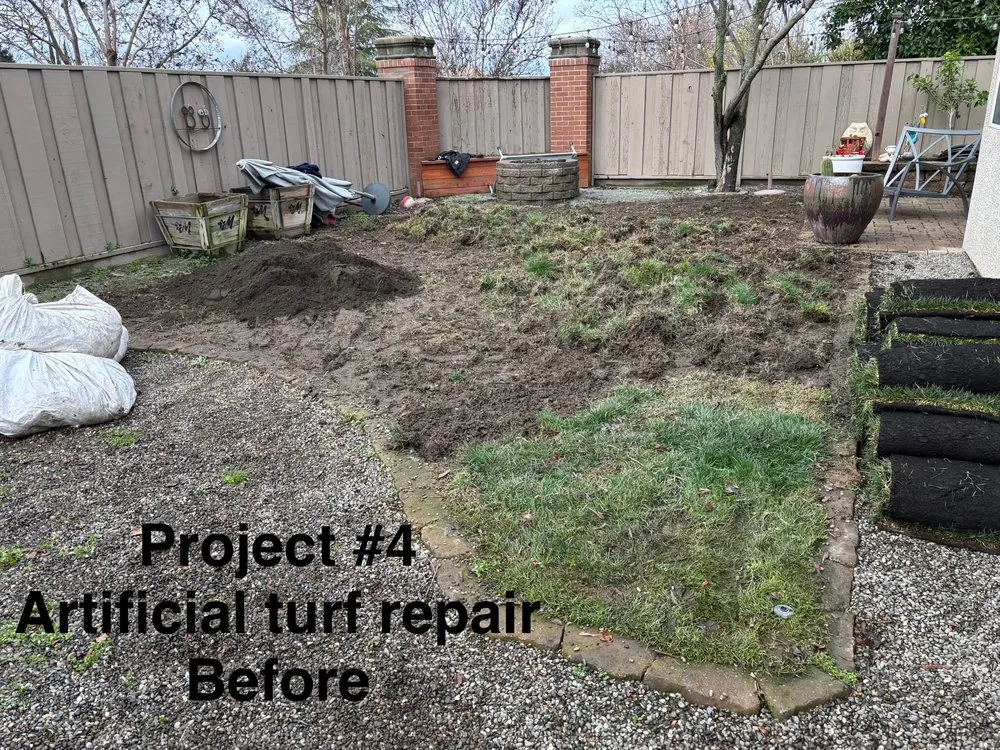 Expert yard maintenance experts serving Sacramento, CA - City of Trees Landscape & Design