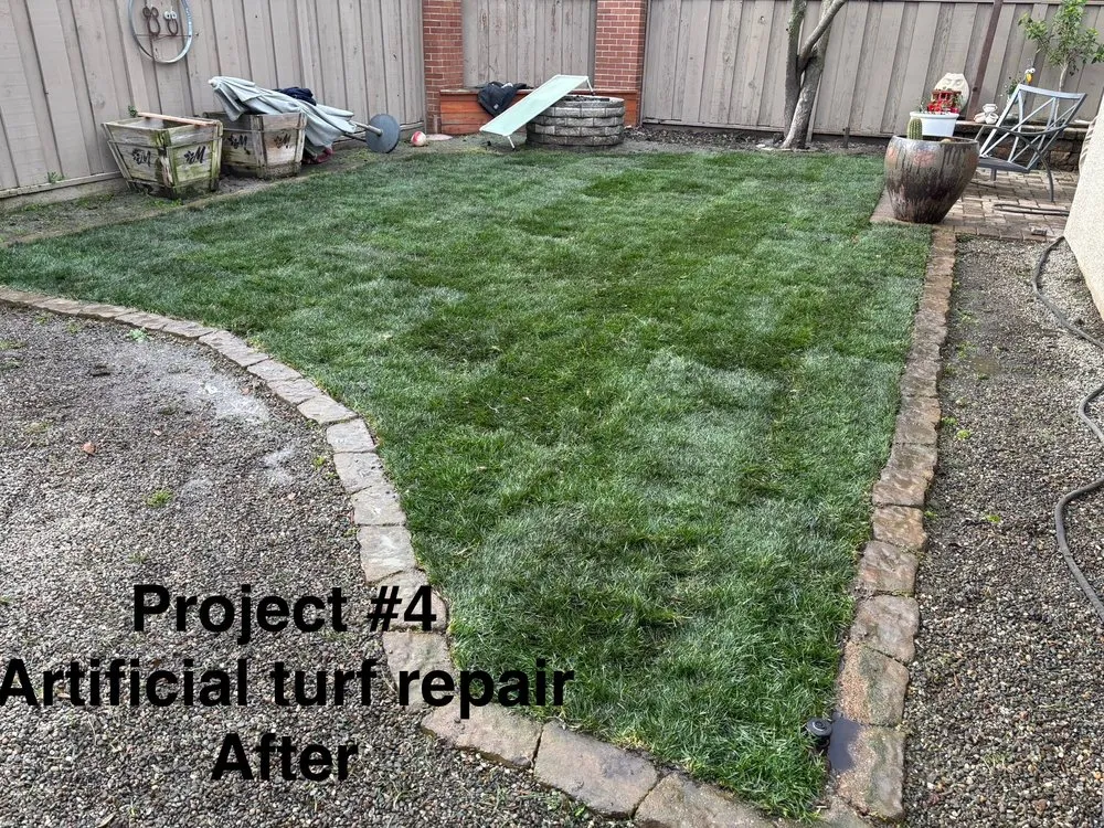 Affordable lawn care service in Sacramento, CA by City of Trees Landscape & Design