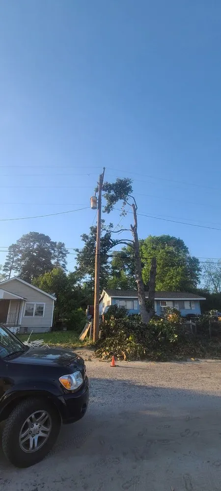 Reliable lawn care service in Swansea, SC by City One Construction