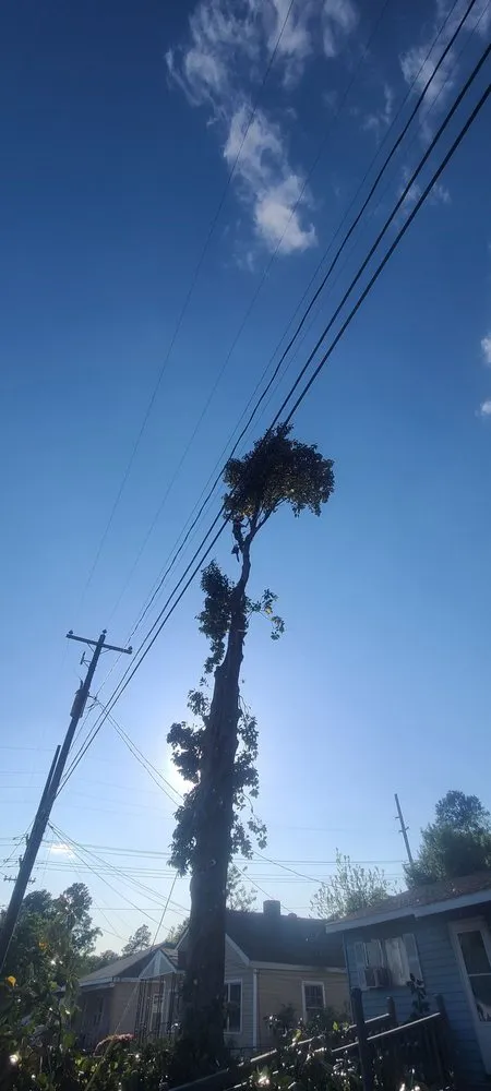 Professional landscape design in Swansea, SC - City One Construction