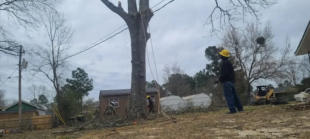 Top-rated lawn mowing service for outdoor upgrades across Swansea, SC - City One Construction