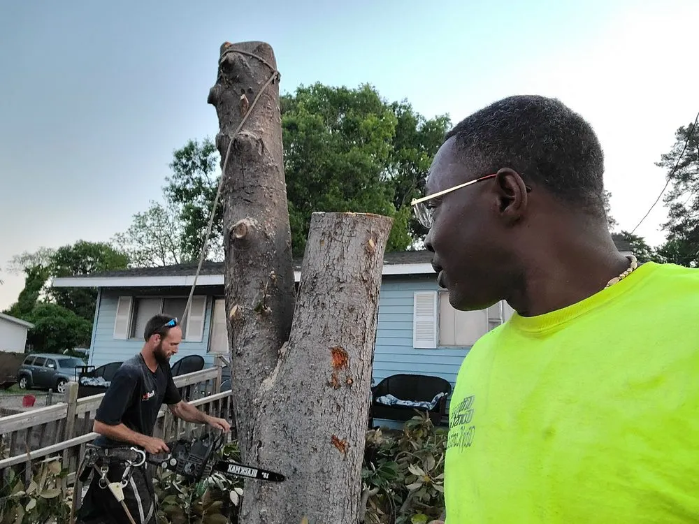 Trusted residential landscaping for homes in Swansea, SC by City One Construction