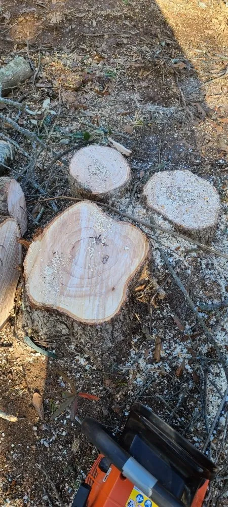 Affordable lawn mowing service in Swansea, SC by City One Construction