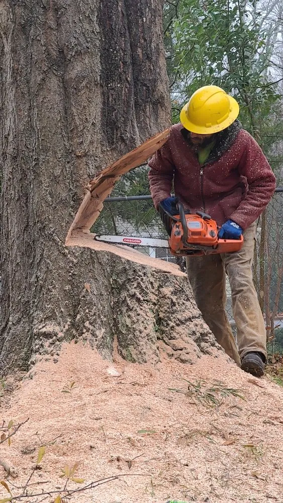 Professional lawn mowing service in Swansea, SC by City One Construction
