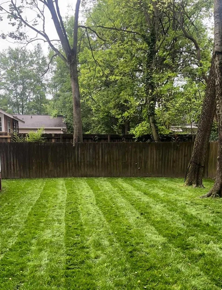 Reliable landscape design in Denver, CO by City Park Lawn Care