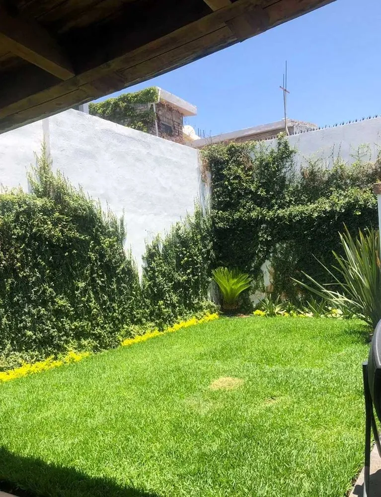 Expert lawn care service experts serving Denver, CO - City Park Lawn Care