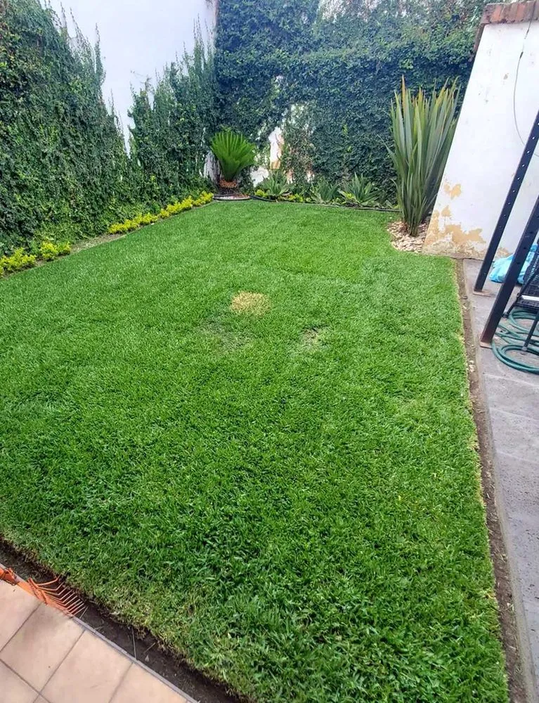 Custom landscaping services experts serving Denver, CO - City Park Lawn Care