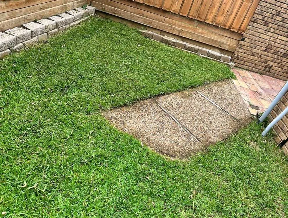 Reliable landscape installation in Denver, CO by City Park Lawn Care