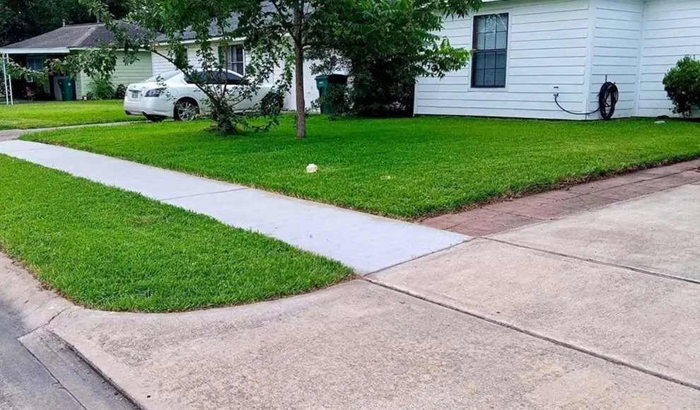 Local lawn care service for outdoor upgrades in Denver, CO by City Park Lawn Care