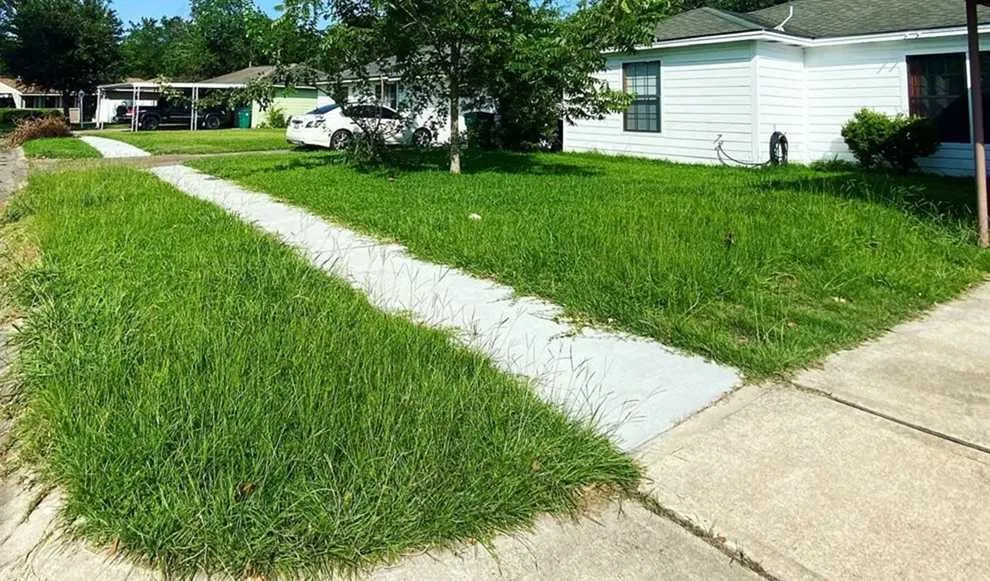 Professional landscaping services experts serving Denver, CO - City Park Lawn Care