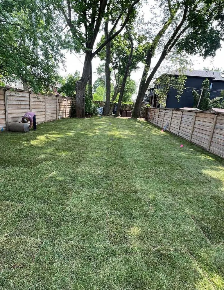Local yard maintenance for residential properties across Denver, CO - City Park Lawn Care