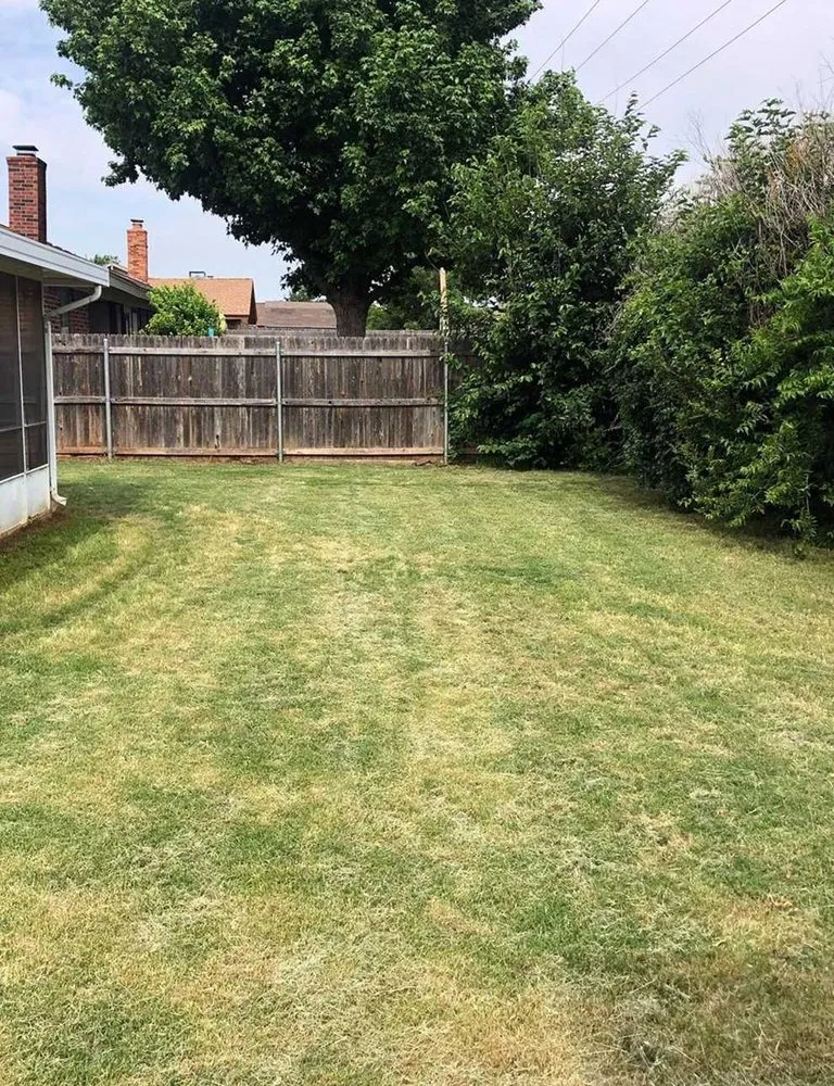 Top-rated yard cleanup service with custom design in Denver, CO by City Park Lawn Care