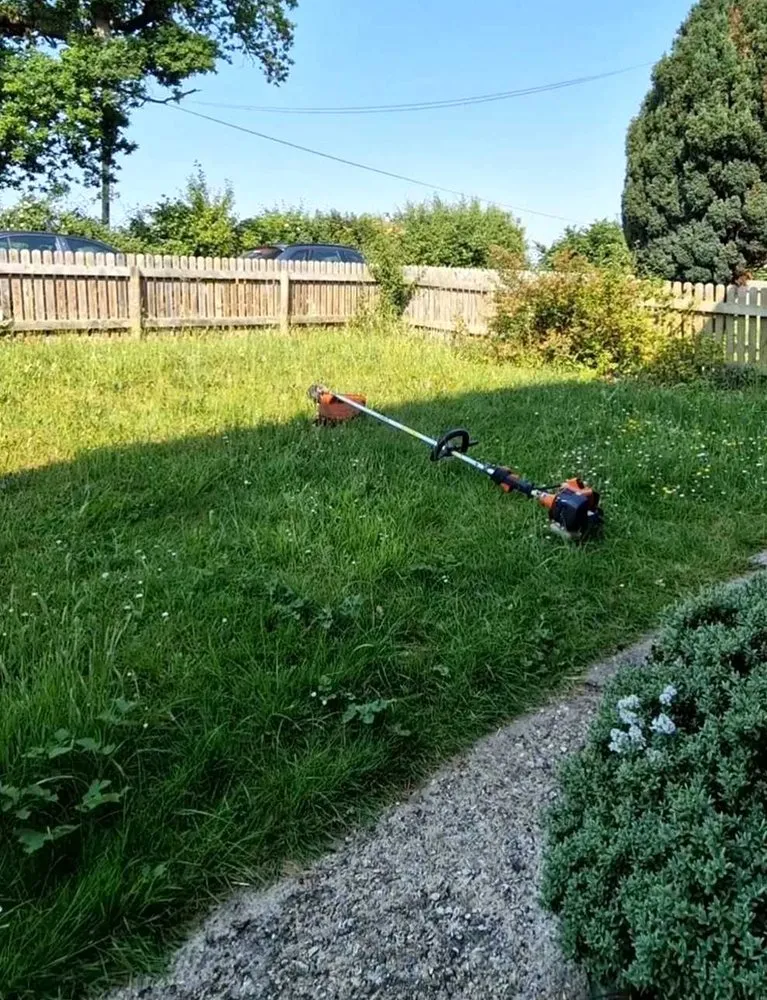 Trusted lawn care service in Denver, CO - City Park Lawn Care