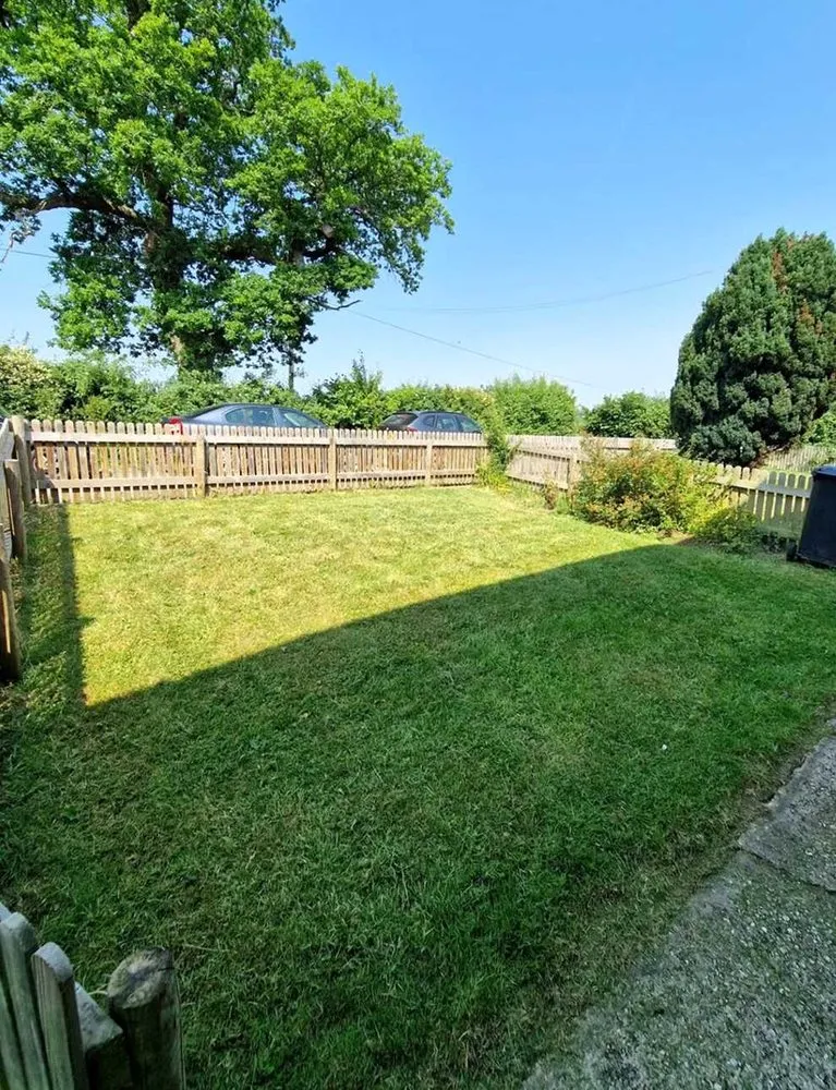 Custom yard maintenance in Denver, CO - City Park Lawn Care