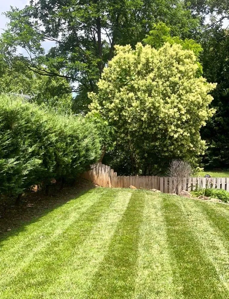 Local yard cleanup service in Denver, CO - City Park Lawn Care
