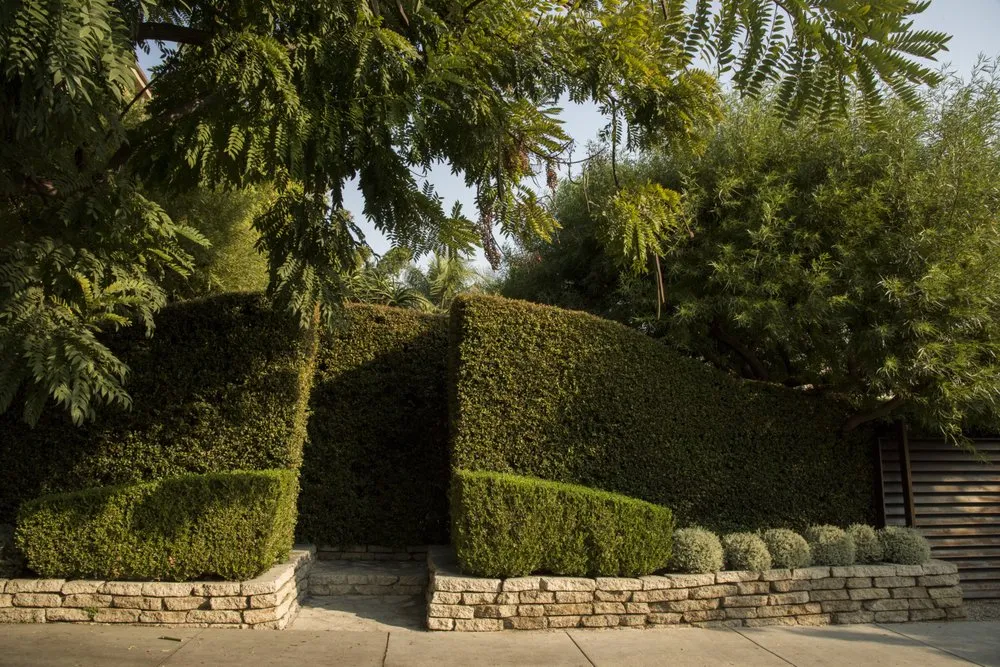 Expert garden landscaping experts serving West Hollywood, CA - City Plants