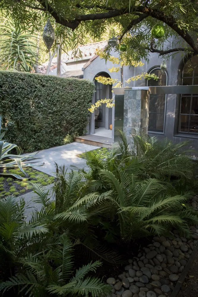 Local landscape installation experts serving West Hollywood, CA - City Plants