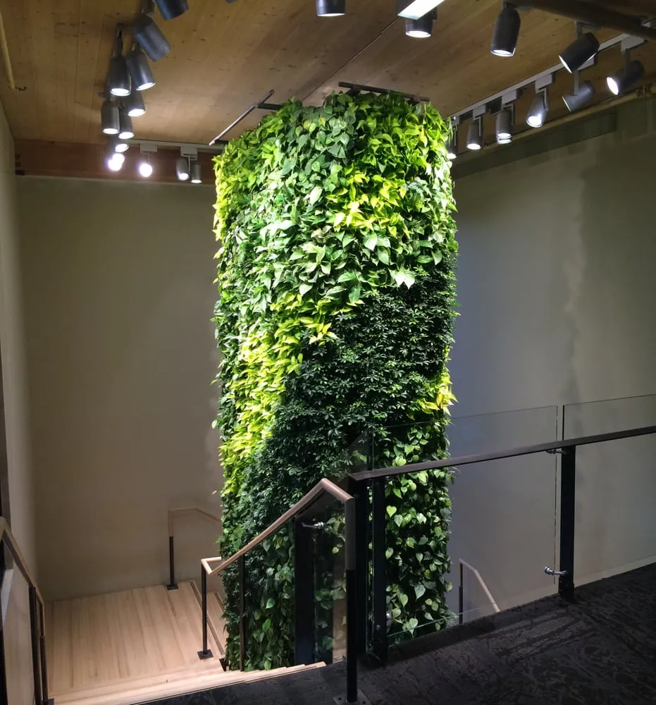 Local garden landscaping in Parker, CO - City Plantscaping