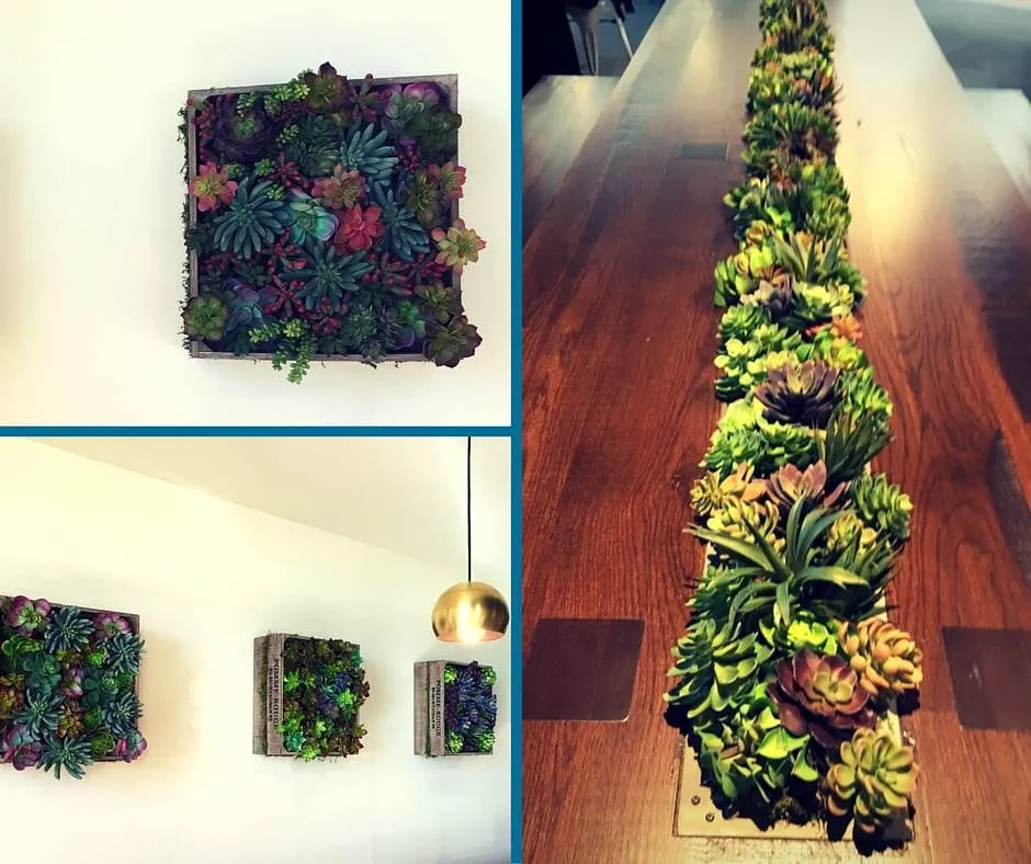 Local residential landscaping with custom design in Parker, CO by City Plantscaping