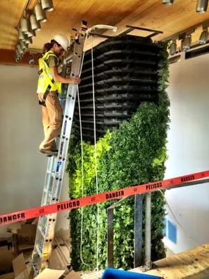 City Plantscaping Logo