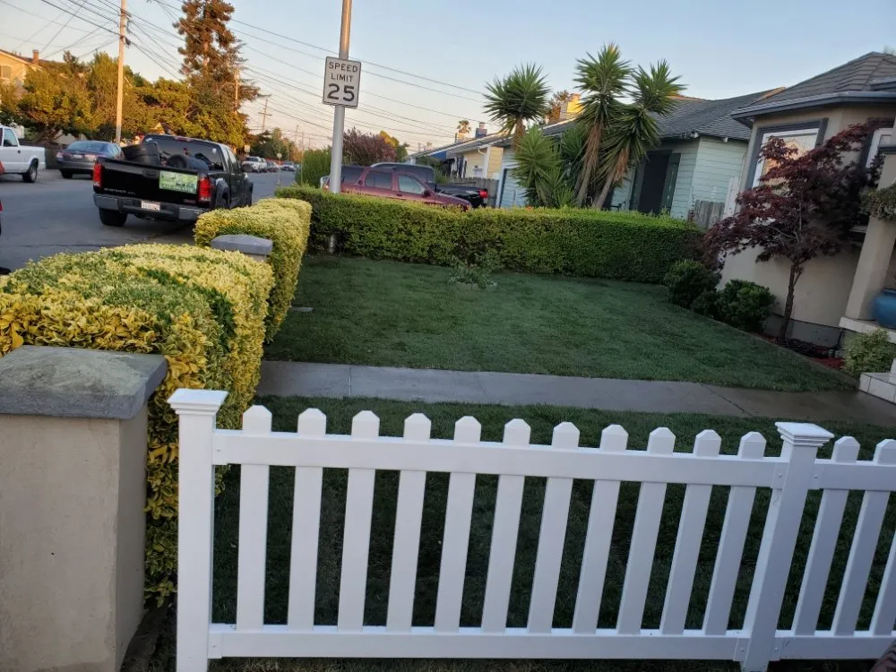 Expert landscape design experts serving San Mateo, CA - City To City Gardening