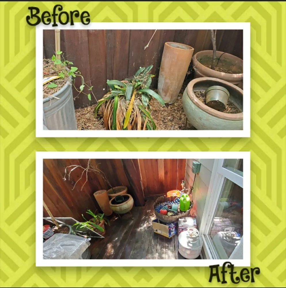 Custom lawn mowing service in San Mateo, CA - City To City Gardening