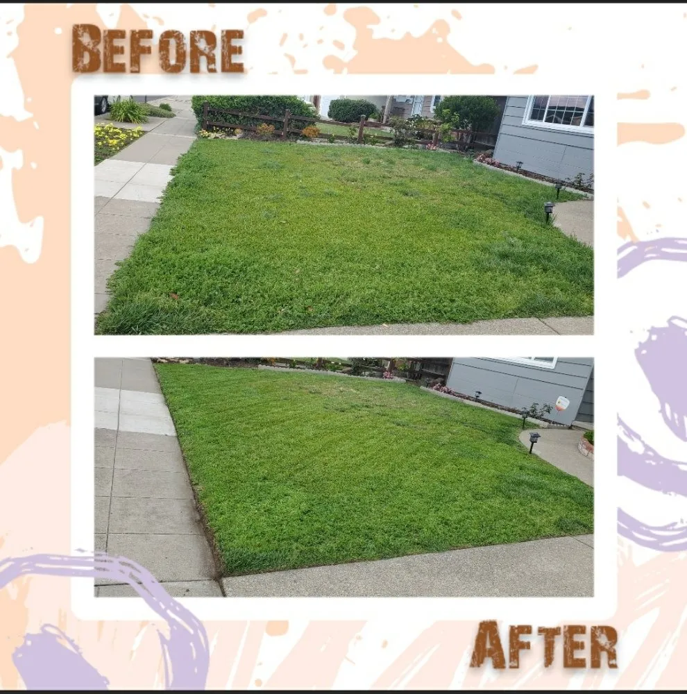 Professional landscaping services near you in San Mateo, CA by City To City Gardening